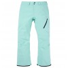 Pantalón Snow Burton [ak] Cyclic GORE TEX 2L POWDER MINT